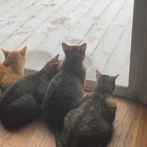 Meet your Posher, Kerry